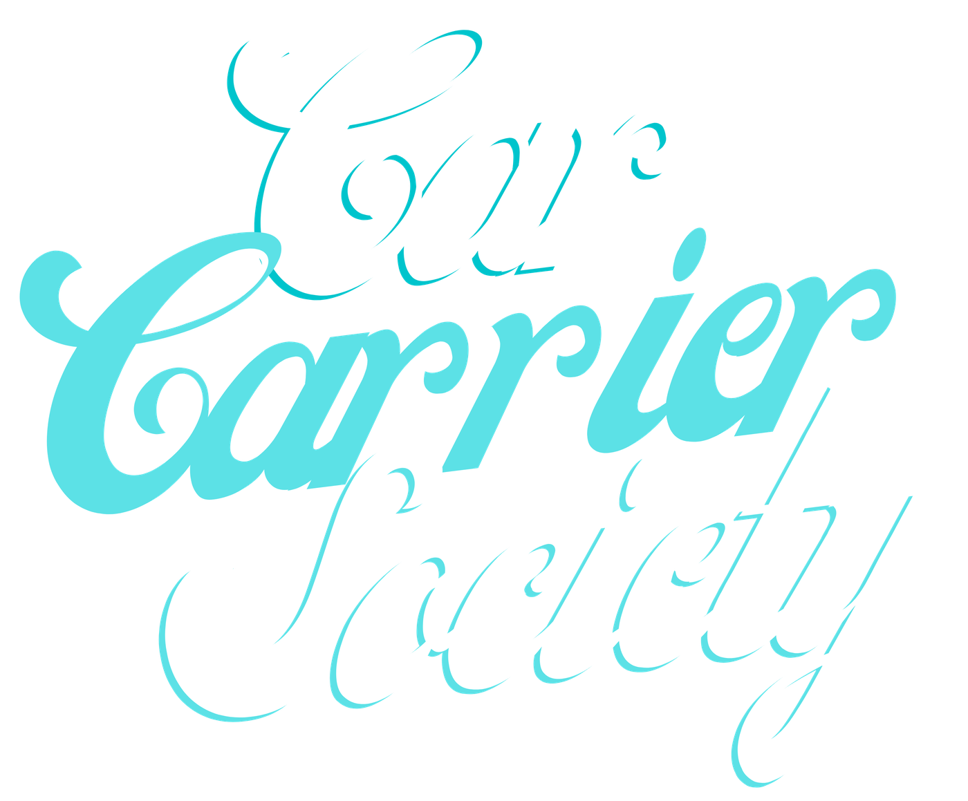 Car Carrier Society